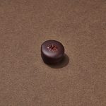 Bengali Chocolat Noir