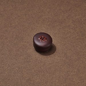 Bengali Chocolat Noir