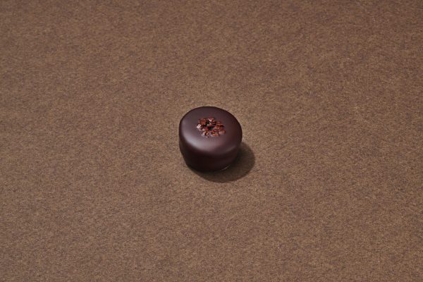Bengali Chocolat Noir