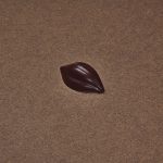 Cabosse