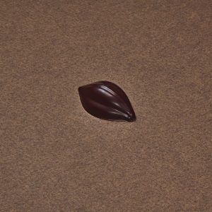 Cabosse
