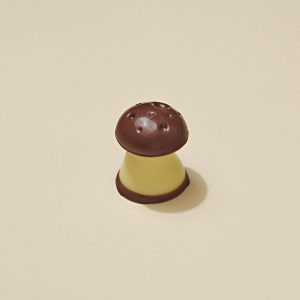 Champignon Chocolat au Lait