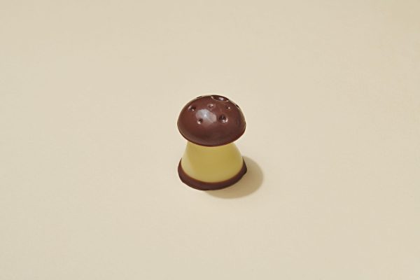 Champignon Chocolat au Lait