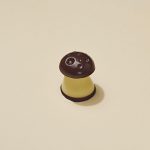 Champignon Chocolat Noir
