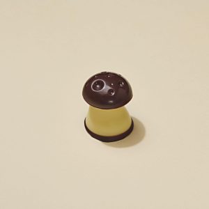 Champignon Chocolat Noir
