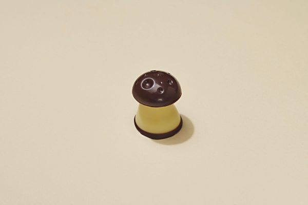 Champignon Chocolat Noir
