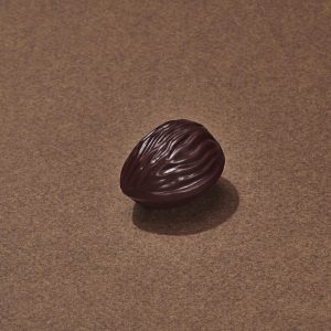Coque De Noix Chocolat Noir