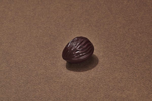 Coque De Noix Chocolat Noir