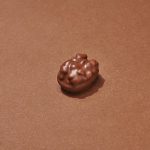 Délice Périgourdin Chocolat au Lait