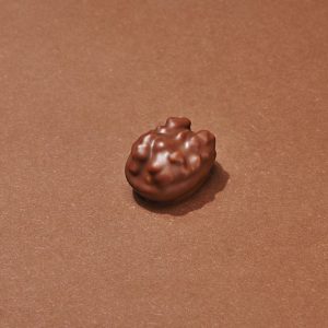 Délice Périgourdin Chocolat au Lait
