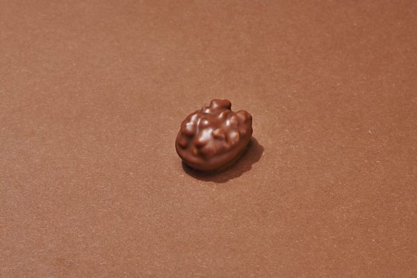 Délice Périgourdin Chocolat au Lait