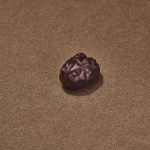 Délice Périgourdin Chocolat Noir