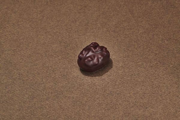 Délice Périgourdin Chocolat Noir