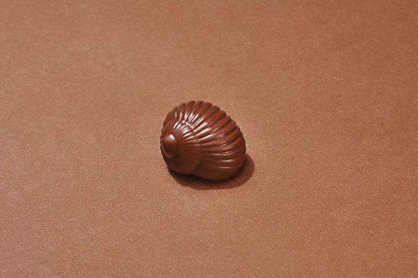 Escargot Chocolat au Lait