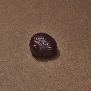 Escargot Chocolat Noir