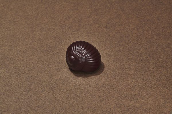 Escargot Chocolat Noir