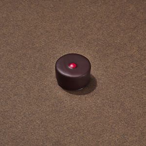 Ganache Cerise