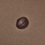 Châtaigne Chocolat Noir