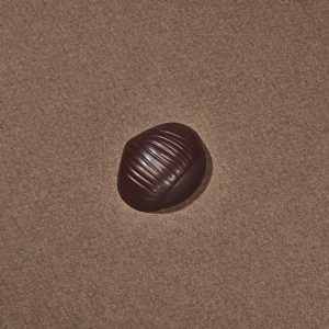 Châtaigne Chocolat Noir