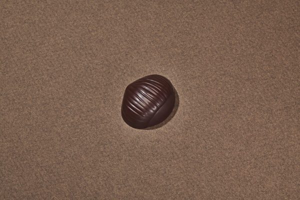Châtaigne Chocolat Noir