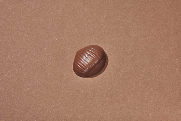 Châtaigne Chocolat au Lait