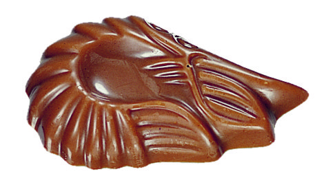 Fritures Pleines Chocolat Au Lait