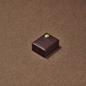 Pralicitron Chocolat Noir
