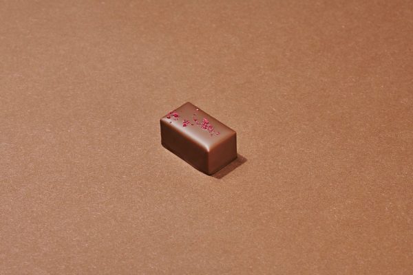 Praliné Fruits Rouges Chocolat au Lait