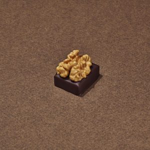 Praliné Noix Chocolat Noir
