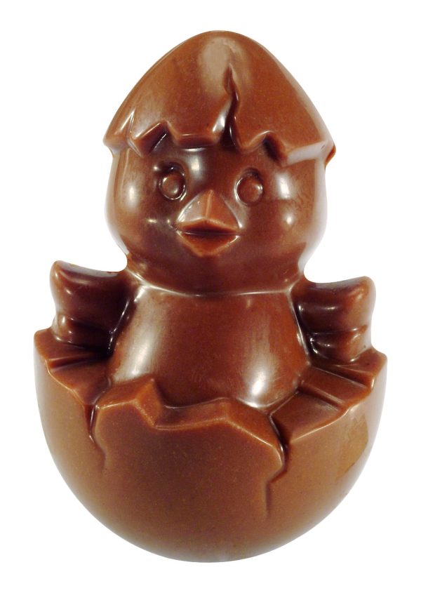 Pulcino Chocolat au Lait