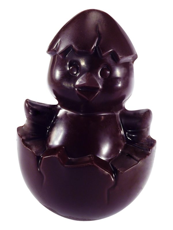 Pulcino Chocolat Noir