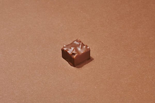 Notre Rocher Praliné Chocolat au Lait