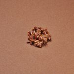 Rose Des Vents Chocolat au Lait
