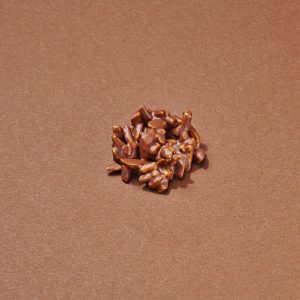 Rose Des Vents Chocolat au Lait