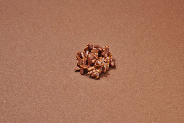 Rose Des Vents Chocolat au Lait