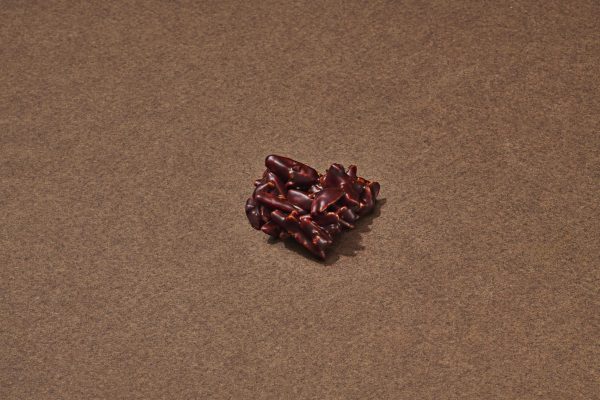 Rose Des Vents Chocolat Noir