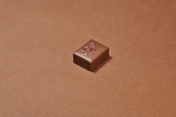 Succuloos Chocolat au Lait