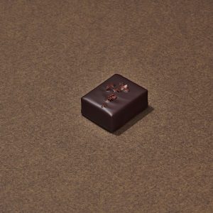 Succuloos Chocolat Noir