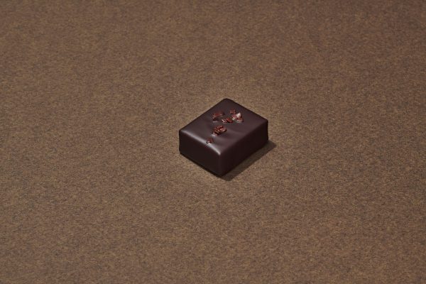 Succuloos Chocolat Noir