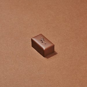 Tonkinois Chocolat au Lait