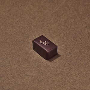 Tonkinois Chocolat Noir