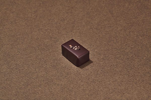 Tonkinois Chocolat Noir