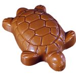 Tortue Chocolat au Lait