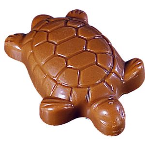 Tortue Chocolat au Lait