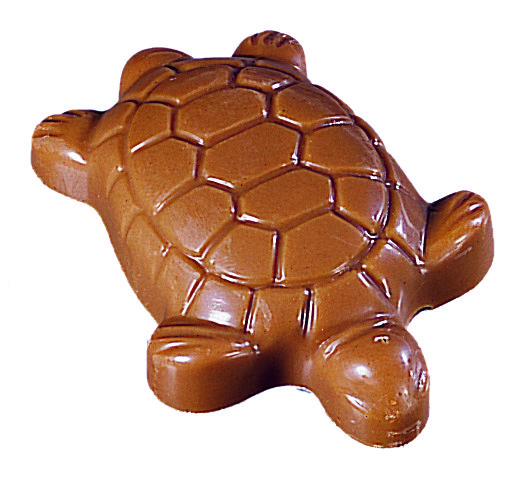 Tortue Chocolat au Lait