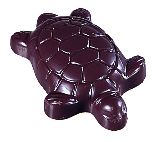 Tortue Chocolat Noir