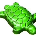 Tortue Verte
