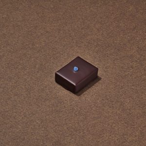 Violette Chocolat Noir