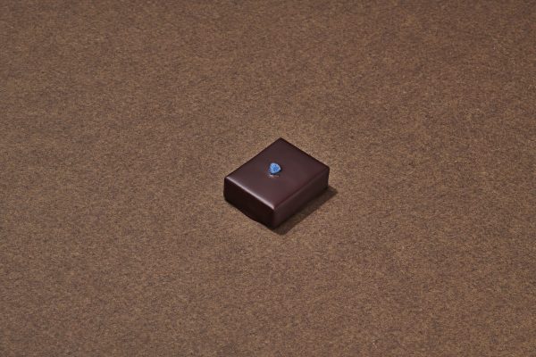 Violette Chocolat Noir